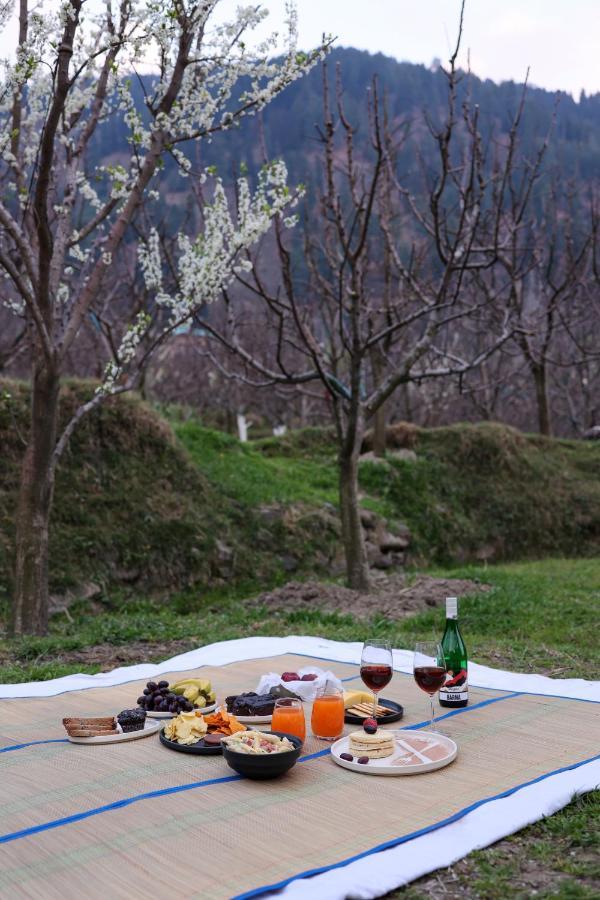 Warehouse X Poshtel Hotel Manali  Exterior photo